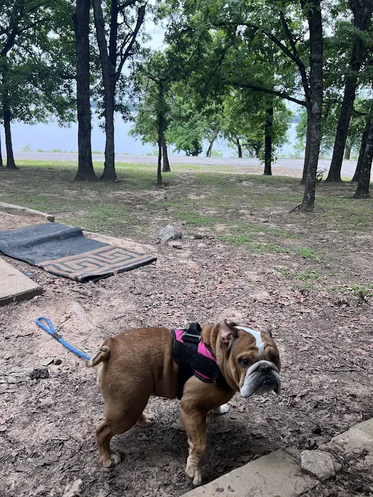 Highway 9 Campground Picture 1