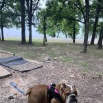 Highway 9 Campground