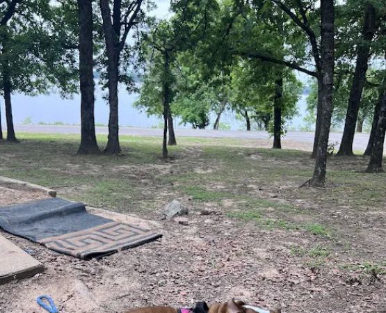 Highway 9 Campground