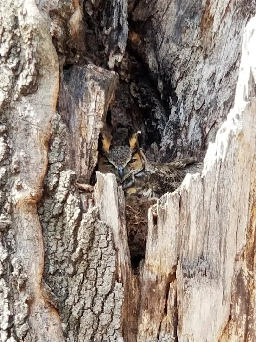 Dogwood Campground Picture 4