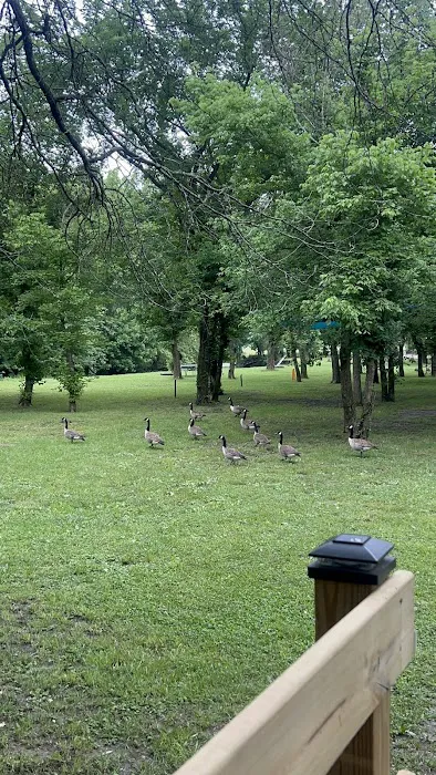 Rivers Bend Family Resort Picture 4