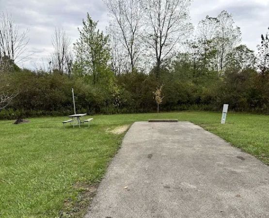 Campsite 207 (Electric Only)