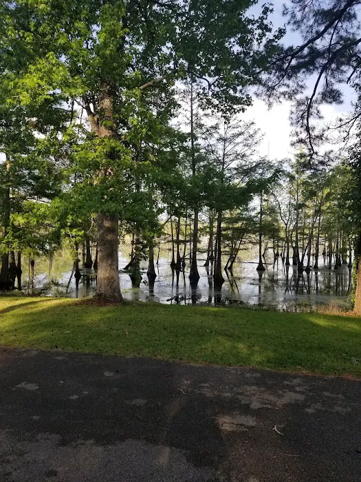 Magnolia Ridge Picture 2