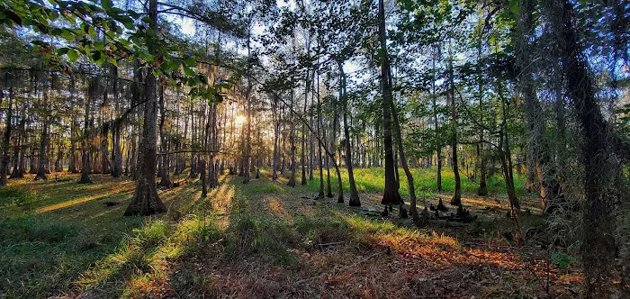 Magnolia Ridge Picture 4