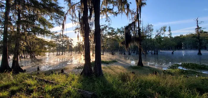 Magnolia Ridge Picture 9