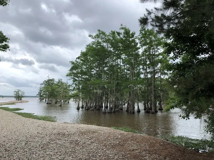 Magnolia Ridge Picture 6