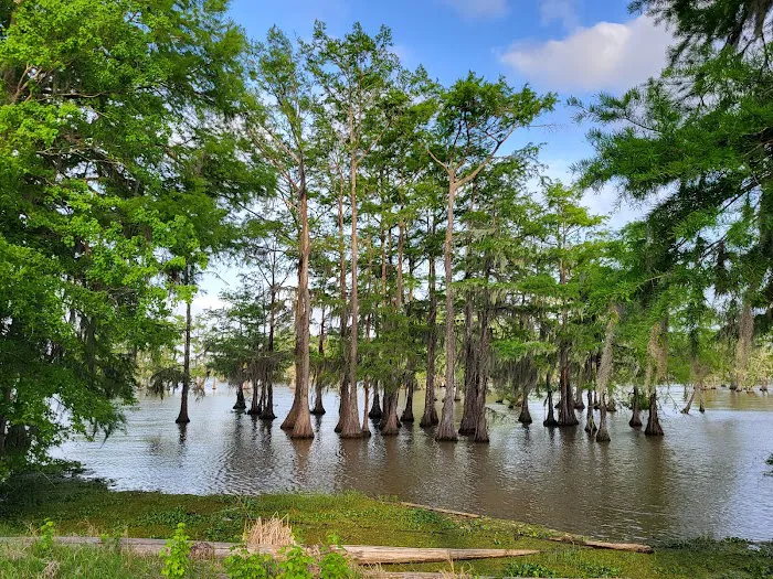 Magnolia Ridge Park Campground Picture 2