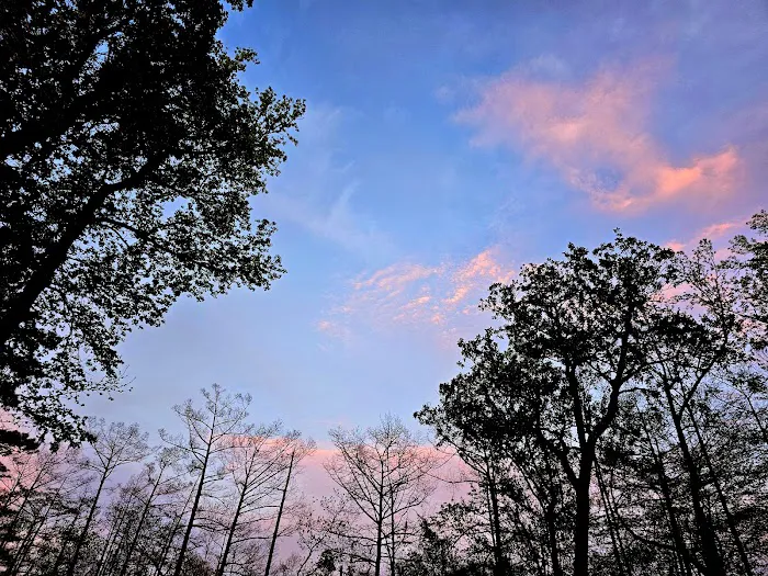 Magnolia Ridge Park Campground Picture 8