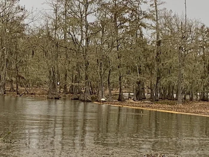 Magnolia Ridge Park Campground Picture 7