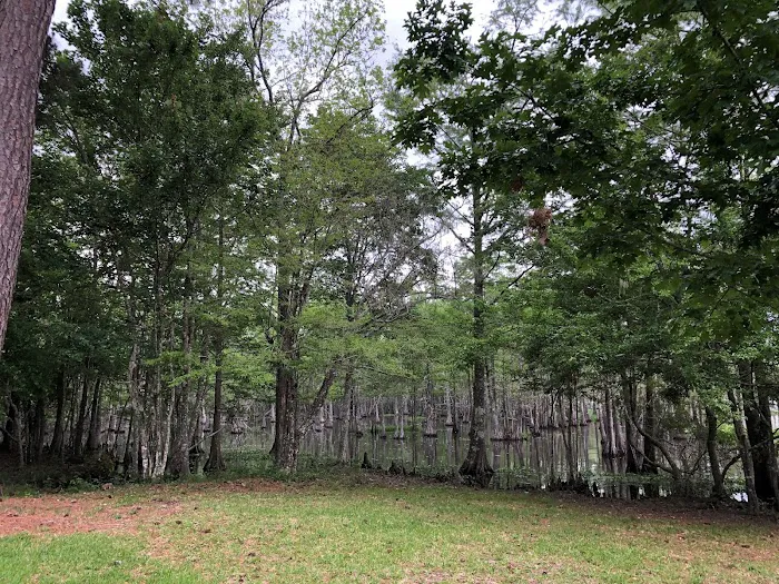 Magnolia Ridge Park Campground Picture 4