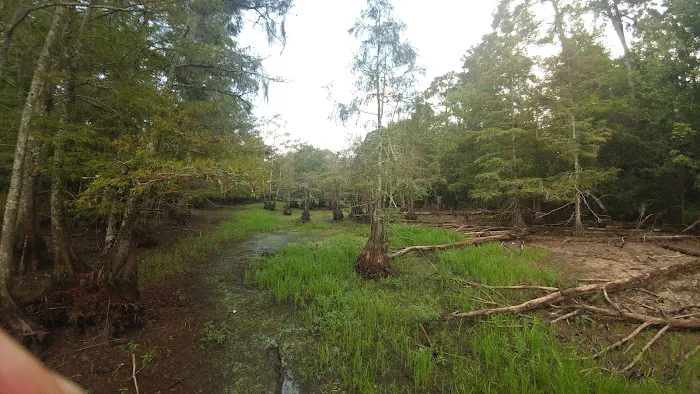 Hen House Ridge Unit Picture 9