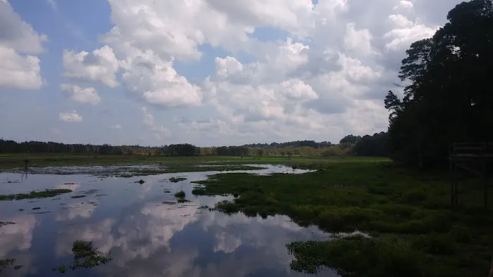 Hen House Ridge Unit Picture 8