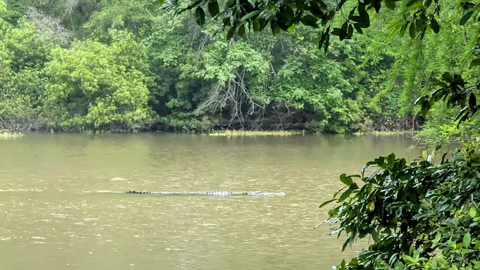 Hen House Ridge Unit Picture 3