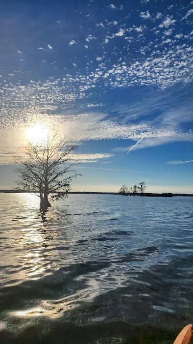 Martin Dies, Jr. Campground Picture 4