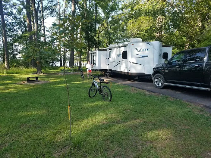 Martin Dies, Jr. Campground Picture 3