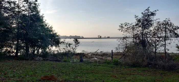 Martin Dies, Jr. Campground Picture 6