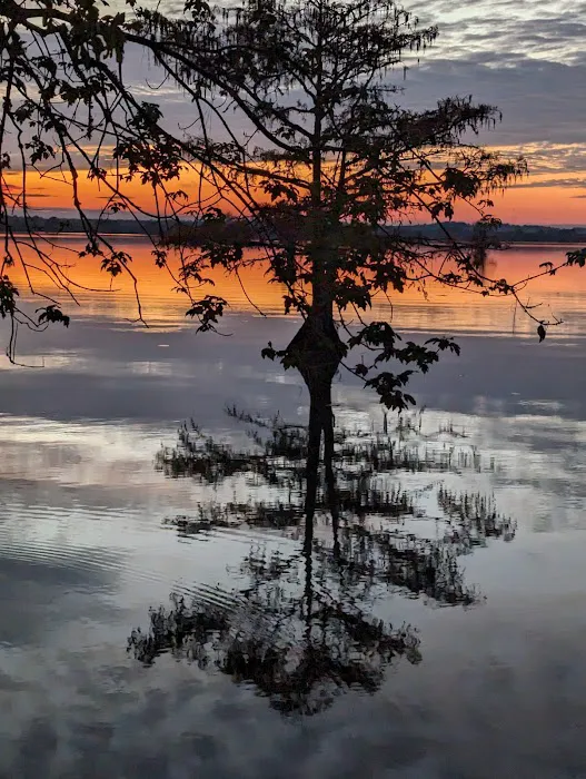 Martin Dies, Jr. Campground Picture 2