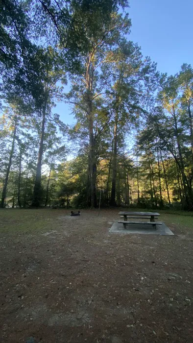 Campsite #313 Picture 1