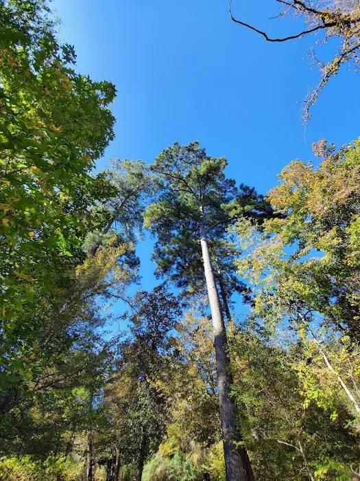 Walnut Ridge Unit, Martin Dies JR State Park Picture 3