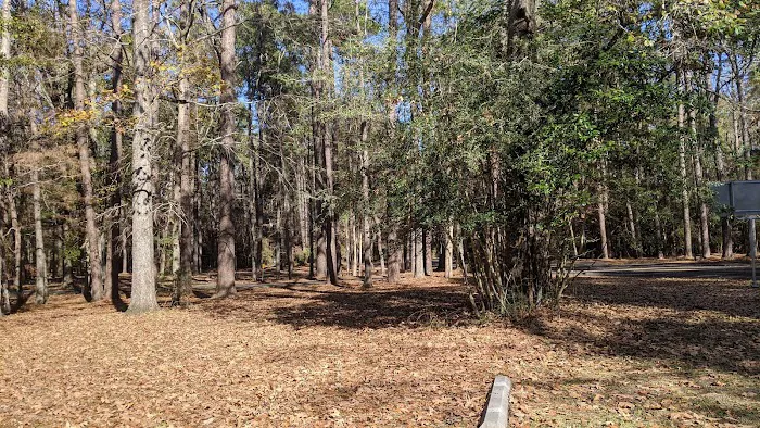 Walnut Ridge Unit, Martin Dies JR State Park Picture 2