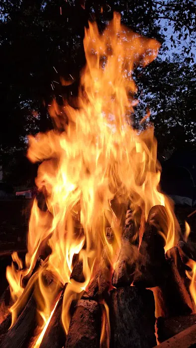 Walnut Ridge Unit, Martin Dies JR State Park Picture 10