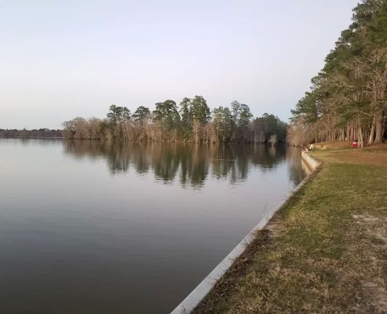 Walnut Ridge Unit, Martin Dies JR State Park