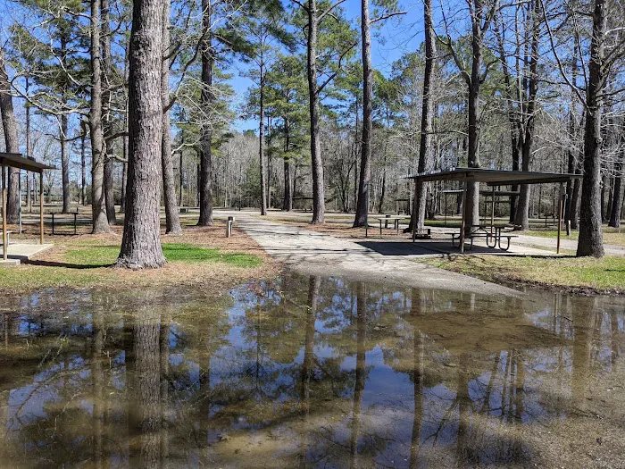 Sandy Creek Picture 2