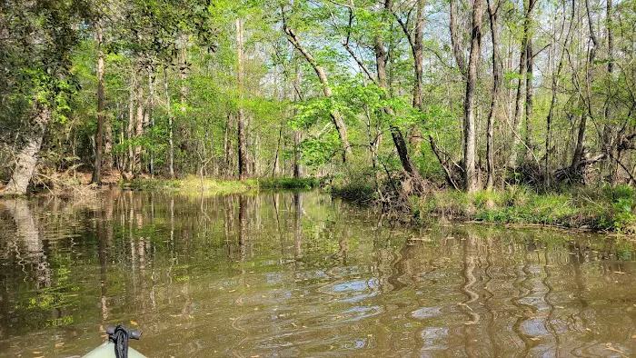 Sandy Creek Picture 9