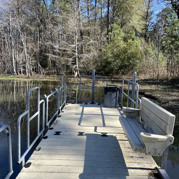 Sandy Creek Picture 8