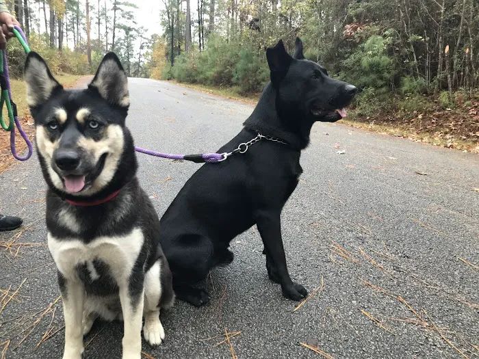 Ratcliff Recreation Area Picture 2