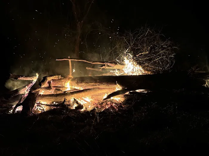 Davy Crockett RV Park Picture 4