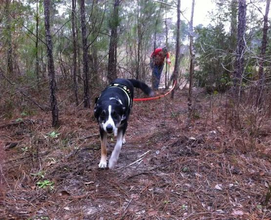 Neches Bluff Campground