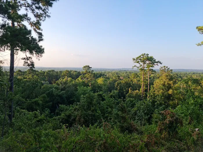 Neches Bluff Campground Picture 3