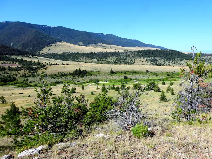 Sage Creek Campground Picture 8