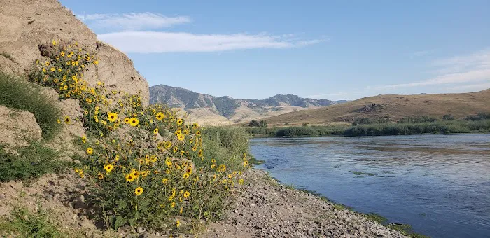 Pelican Point FAS Picture 7