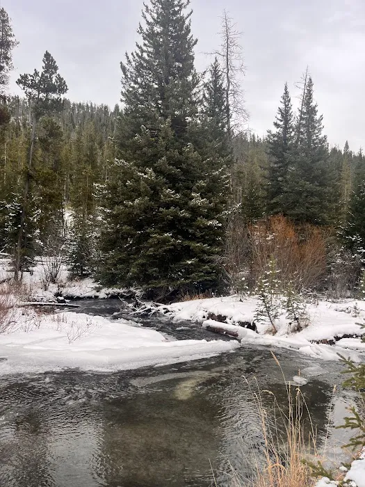 Moose Creek Campground Picture 2