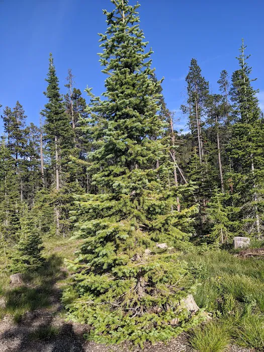 Kings Hill Campground Picture 6