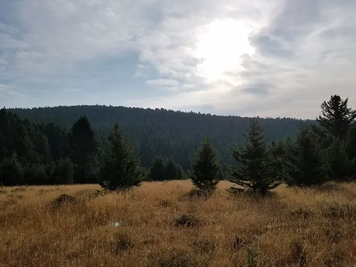 Spring Creek Campground Picture 1