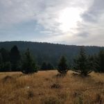 Spring Creek Campground