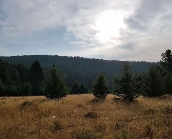 Spring Creek Campground