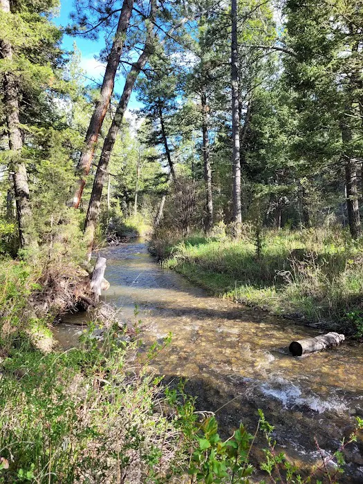 Spring Creek Campground Picture 10