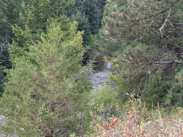 Spring Creek Campground Picture 5