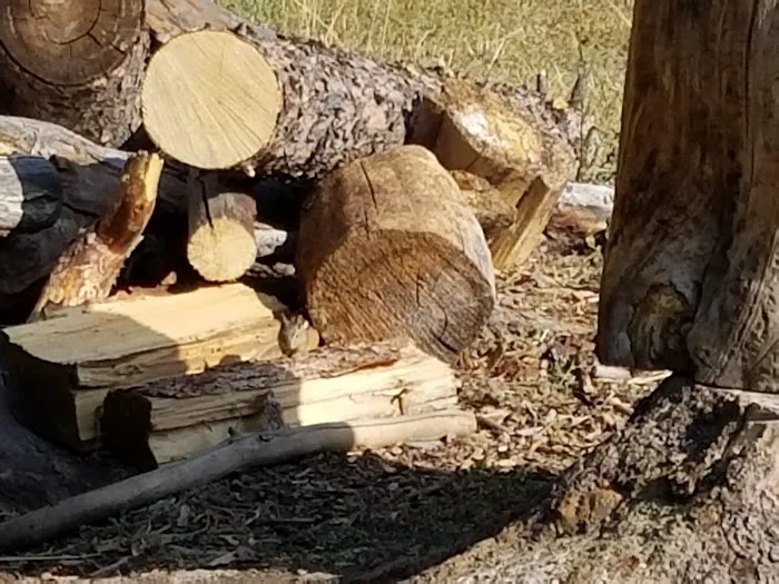 Spring Creek Campground Picture 3