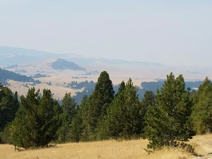 Spring Creek Campground Picture 2