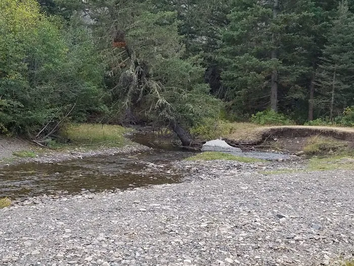 Spring Creek Campground Picture 8