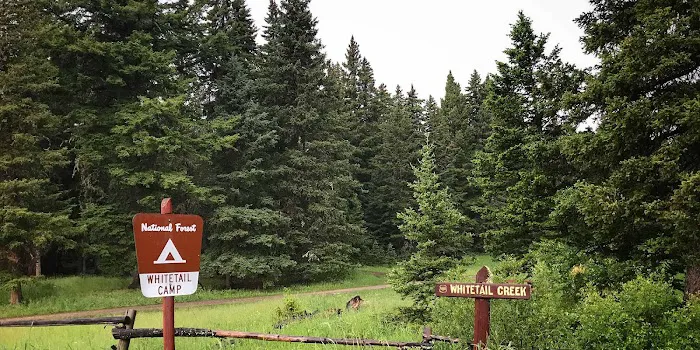 Whitetail Camp Campground Picture 1