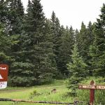 Whitetail Camp Campground