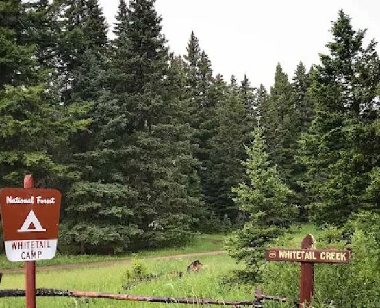 Whitetail Camp Campground
