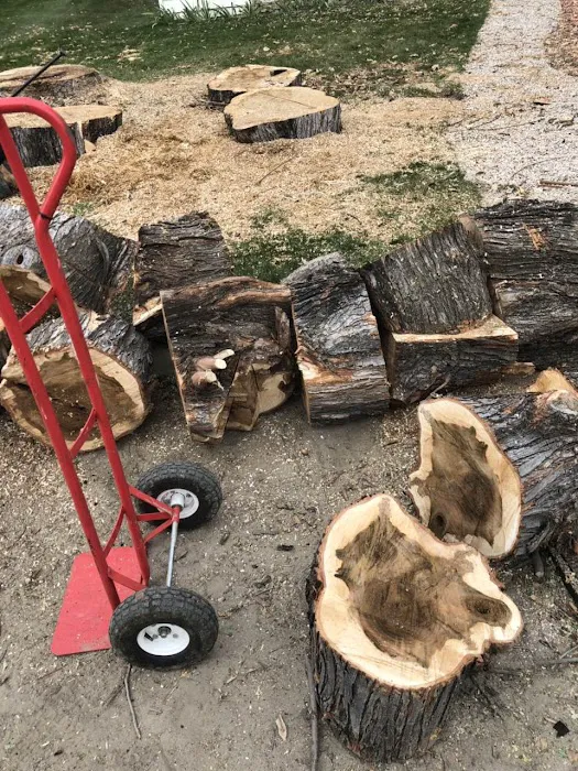 Basin Cr Dispersed Campground Picture 1