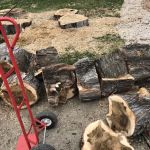 Basin Cr Dispersed Campground